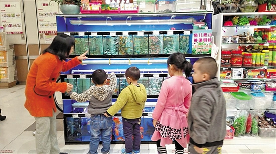 图为惠州市康复中心教孤独症儿童认识各种各样的鱼