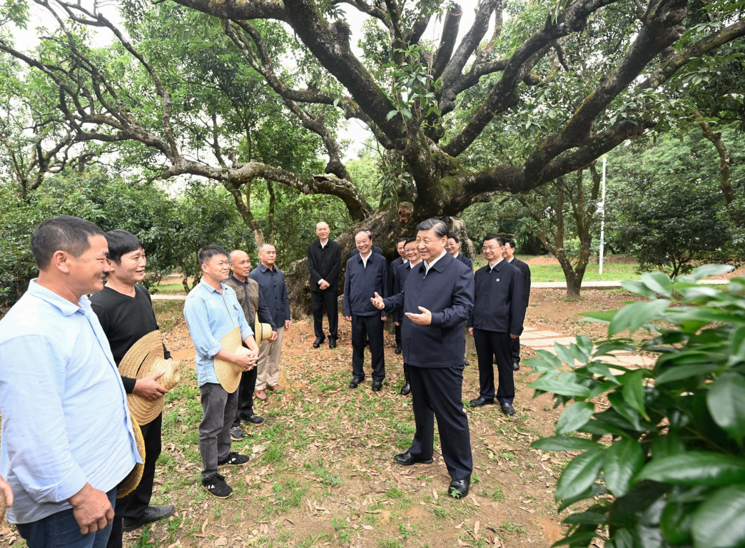习近平在茂名市考察调研