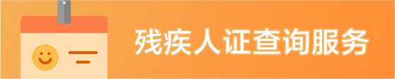 残疾人证查询服务