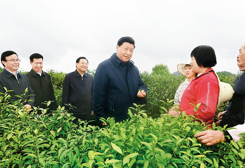 脱贫攻坚图片