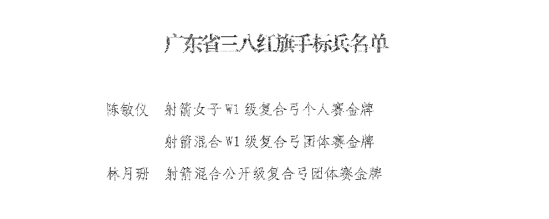 三八红旗手标兵称号.jpg