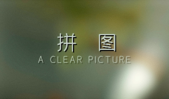 《拼图（A CLEAR PICTURE）》