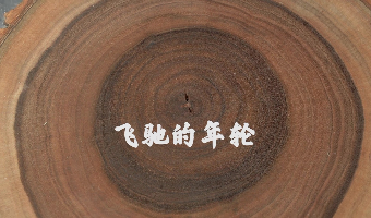《飞驰的年轮》