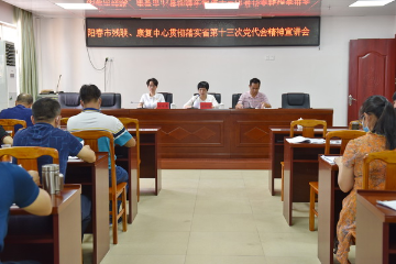 阳春市残联召开宣讲会学习贯彻省第十三次党代会精神